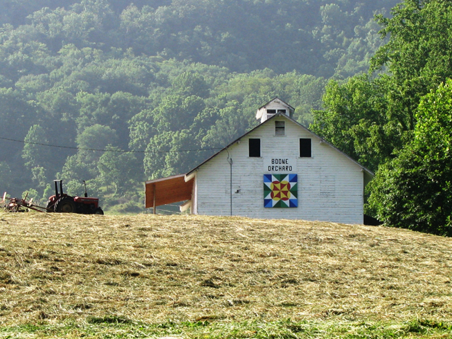 Boone Orchard