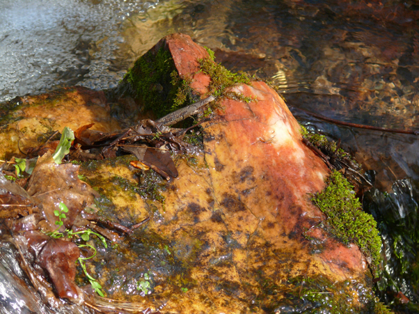 Golden Rock photo