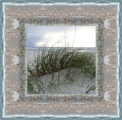 Pawley's Island