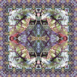 Beet Greens Pillow 2