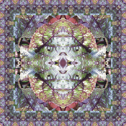 Beet Greens Pillow #4