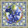 Texas Bluebonnet Kit