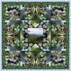 Blue Ridge Parkway Summer