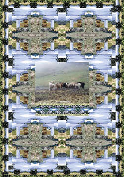 Grady's Cows