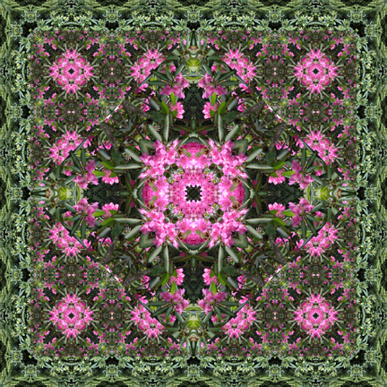 blossommedallion