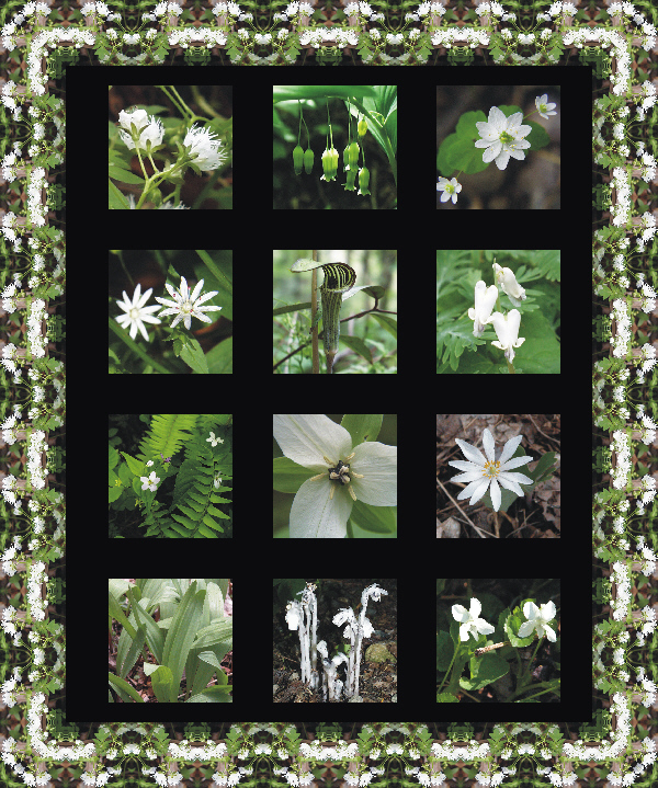 Wildflower Quilt
